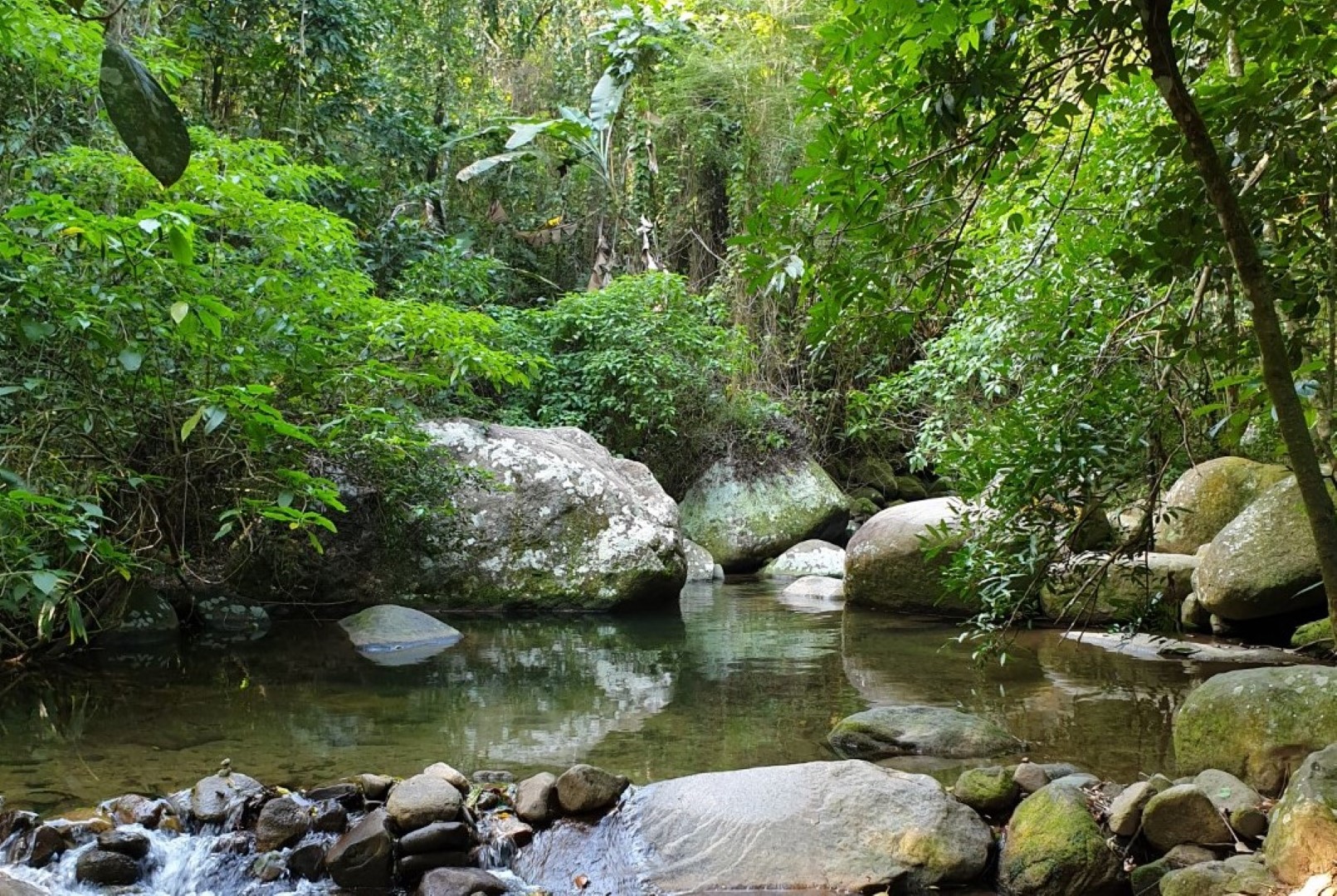 State Park Pedra Branca