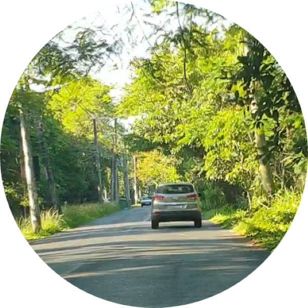 Estrada do Rio Morto.